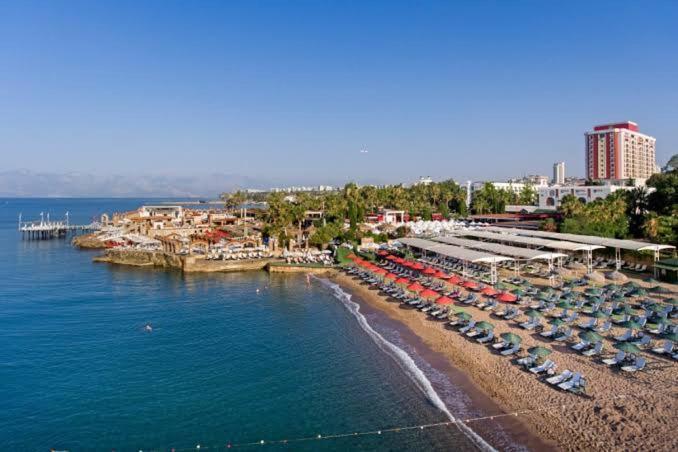 50 Meters From The Lara Daire